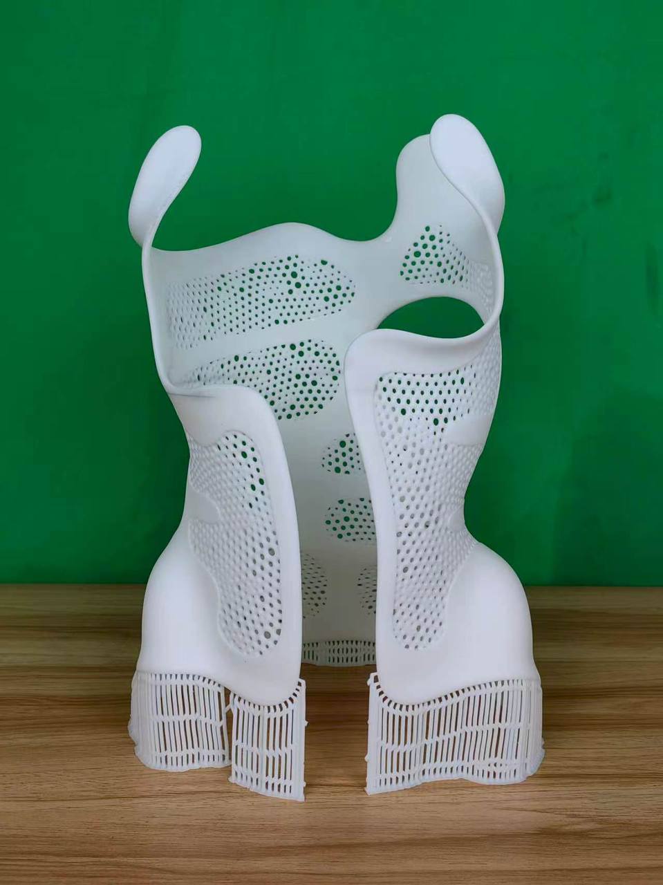 Owner-supplied Lumen Storm XL print showing fine perforations and visible supports