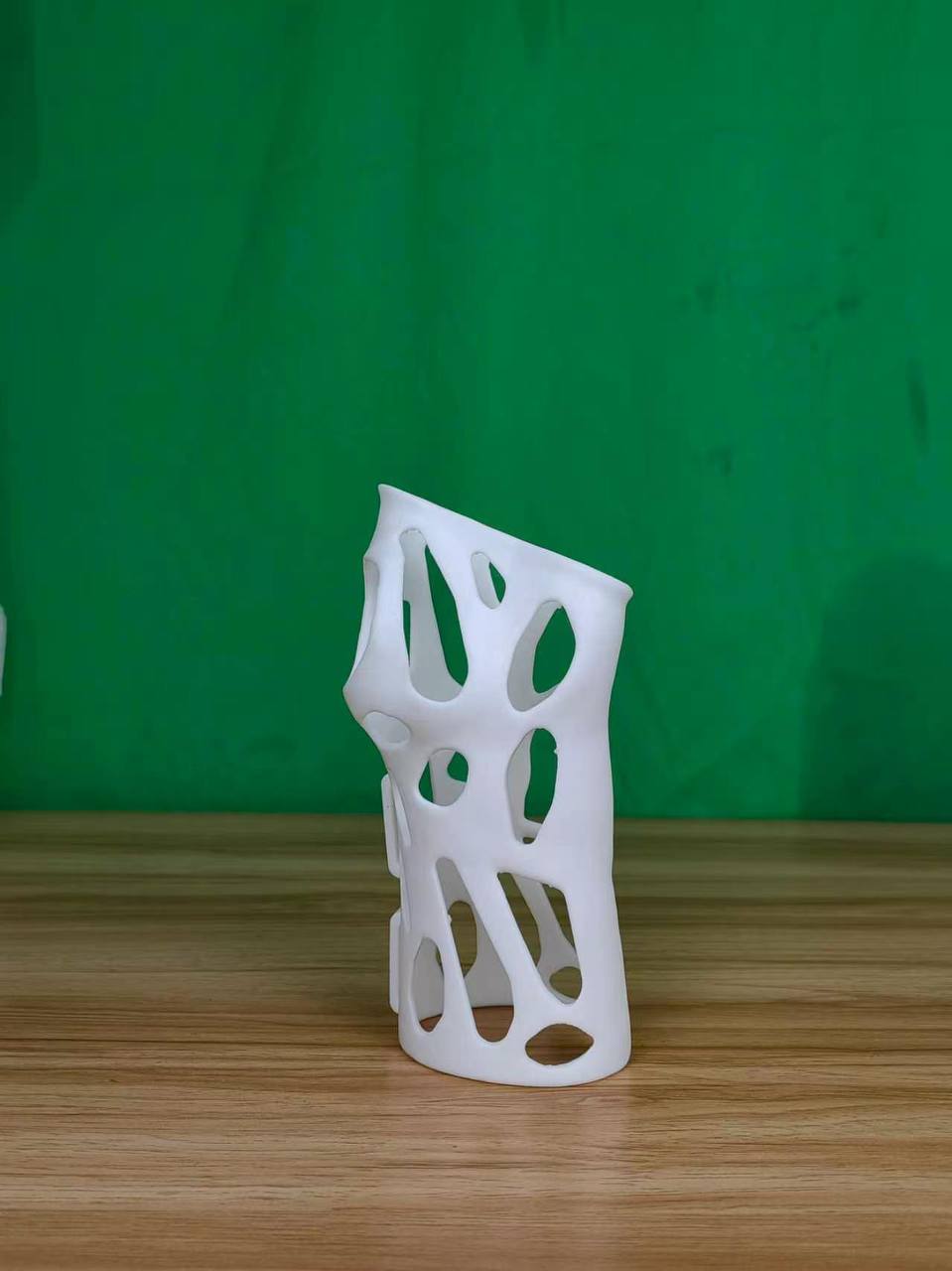 Owner-supplied Lumen Storm XL open-shell resin print